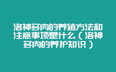 洛神多肉的养殖方法和注意事项是什么(洛神多肉的养护知识)-会东网
