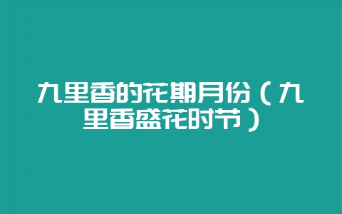 九里香的花期月份（九里香盛花时节）-会东网