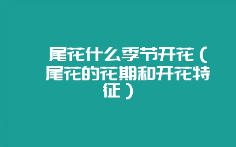 鸾尾花什么季节开花（鸾尾花的花期和开花特征）-会东网