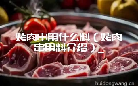 烤肉串用什么料(烤肉串用料介绍)_插图 烤肉串用什么料(烤肉串用料介绍)_插图