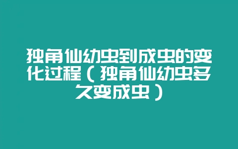 独角仙幼虫到成虫的变化过程(独角仙幼虫多久变成虫)-会东网