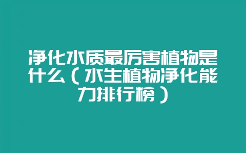 净化水质最厉害植物是什么（水生植物净化能力排行榜）-会东网