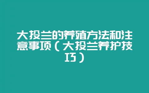 大头兰的养殖方法和注意事项（大头兰养护技巧）-会东网