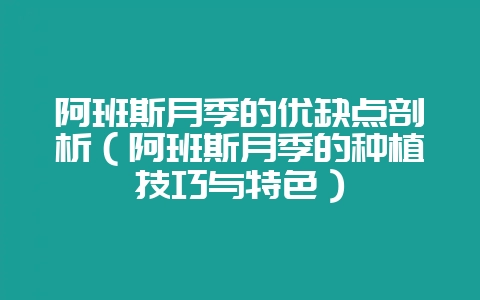 阿班斯月季的优缺点剖析（阿班斯月季的种植技巧与特色）-会东网