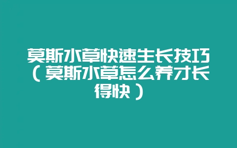 莫斯水草快速生长技巧(莫斯水草怎么养才长得快)-会东网