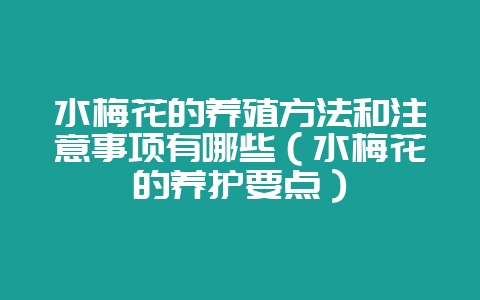 水梅花的养殖方法和注意事项有哪些（水梅花的养护要点）-会东网