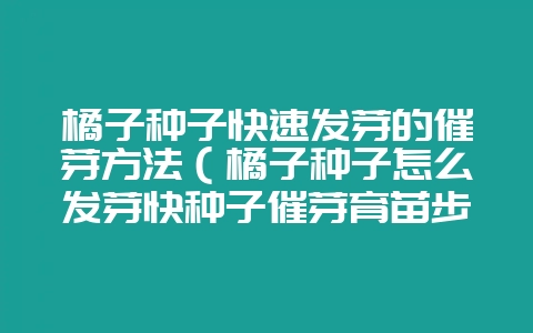 橘子种子快速发芽的催芽方法（橘子种子怎么发芽快种子催芽育苗步-会东网