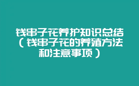 钱串子花养护知识总结(钱串子花的养殖方法和注意事项)-会东网