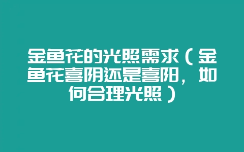金鱼花的光照需求（金鱼花喜阴还是喜阳，如何合理光照）-会东网