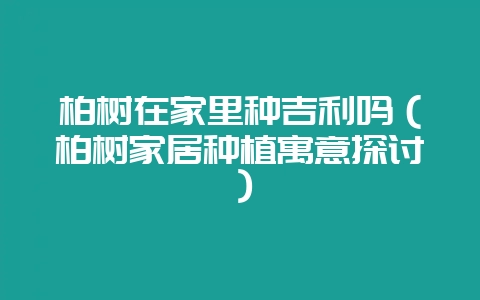 柏树在家里种吉利吗（柏树家居种植寓意探讨）-会东网