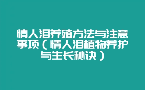 情人泪养殖方法与注意事项（情人泪植物养护与生长秘诀）-会东网