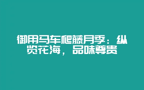 御用马车爬藤月季：纵览花海，品味尊贵-会东网