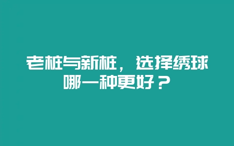 老桩与新桩，选择绣球哪一种更好？-会东网