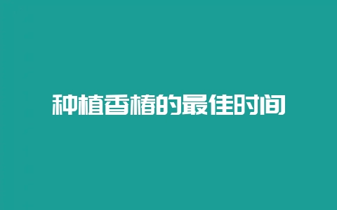 种植香椿的最佳时间-会东网
