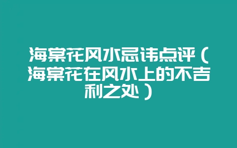 海棠花风水忌讳点评(海棠花在风水上的不吉利之处)-会东网
