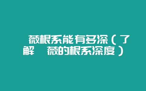 蔷薇根系能有多深(了解蔷薇的根系深度)-会东网