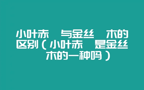 小叶赤楠与金丝楠木的区别（小叶赤楠是金丝楠木的一种吗）-会东网