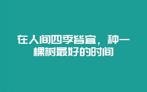 在人间四季皆宜，种一棵树最好的时间-会东网