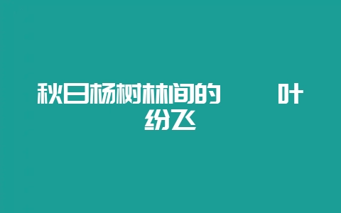 秋日杨树林间的璀璨叶纷飞-会东网