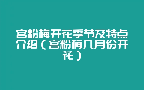 宫粉梅开花季节及特点介绍(宫粉梅几月份开花)-会东网