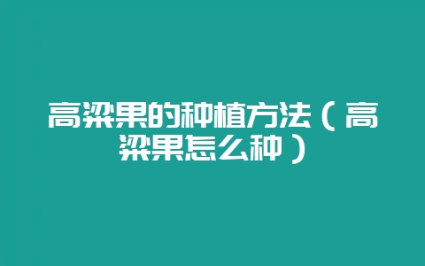 高粱果的种植方法(高粱果怎么种)-会东网