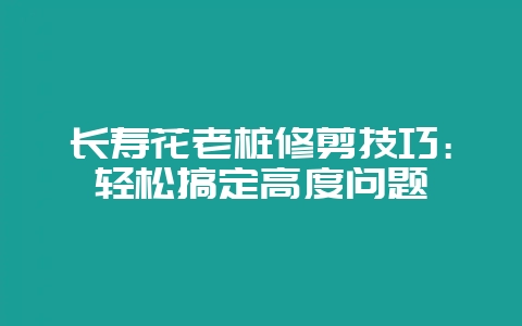 长寿花老桩修剪技巧：轻松搞定高度问题-会东网