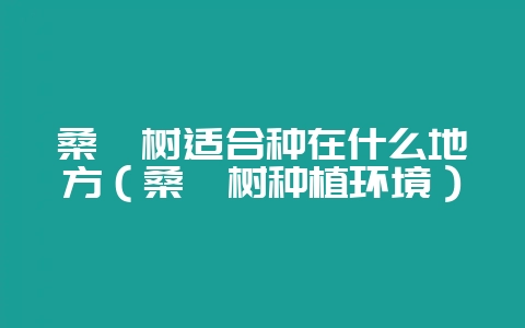 桑葚树适合种在什么地方（桑葚树种植环境）-会东网
