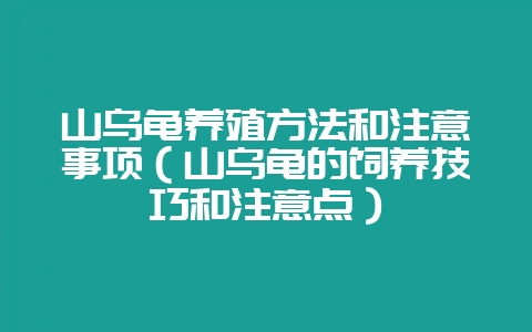 山乌龟养殖方法和注意事项（山乌龟的饲养技巧和注意点）-会东网