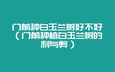 门前种白玉兰树好不好(门前种植白玉兰树的利与弊)-会东网