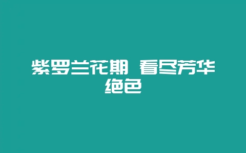 紫罗兰花期 看尽芳华绝色-会东网