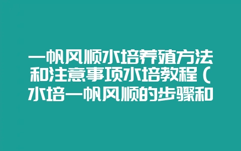 一帆风顺水培养殖方法和注意事项水培教程(水培一帆风顺的步骤和插图 一帆风顺水培养殖方法和注意事项水培教程(水培一帆风顺的步骤和插图