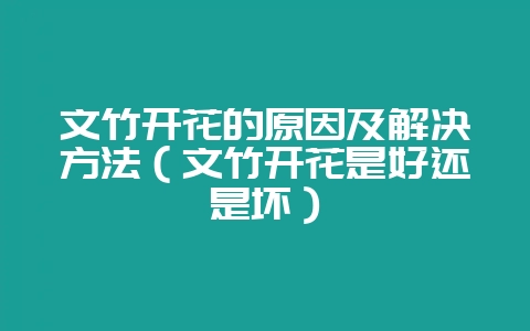 文竹开花的原因及解决方法(文竹开花是好还是坏)-会东网