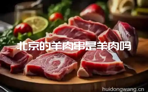 北京的羊肉串是羊肉吗-会东网