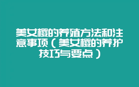 美女樱的养殖方法和注意事项(美女樱的养护技巧与要点)-会东网
