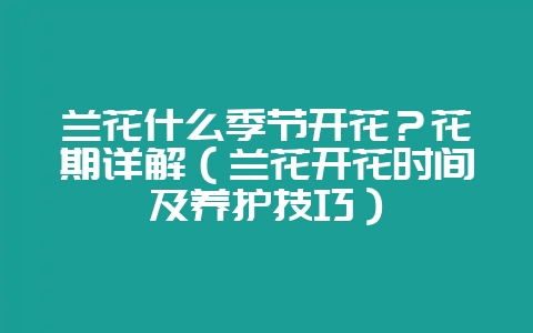 兰花什么季节开花?花期详解(兰花开花时间及养护技巧)-会东网