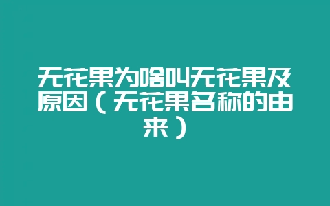 无花果为啥叫无花果及原因(无花果名称的由来)-会东网