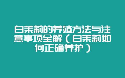 白茉莉的养殖方法与注意事项全解（白茉莉如何正确养护）-会东网