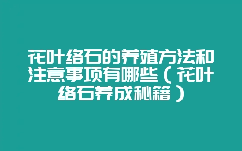 花叶络石的养殖方法和注意事项有哪些（花叶络石养成秘籍）-会东网