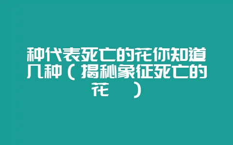 种代表死亡的花你知道几种(揭秘象征死亡的花卉)-会东网