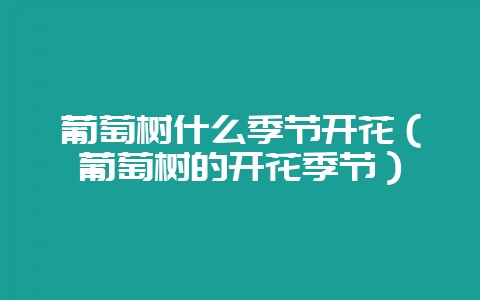 葡萄树什么季节开花(葡萄树的开花季节)-会东网