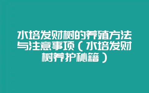 水培发财树的养殖方法与注意事项(水培发财树养护秘籍)-会东网