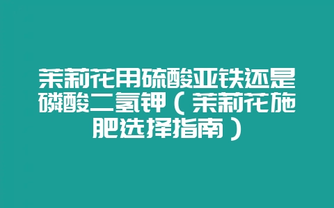 茉莉花用硫酸亚铁还是磷酸二氢钾(茉莉花施肥选择指南)插图 茉莉花用硫酸亚铁还是磷酸二氢钾(茉莉花施肥选择指南)插图