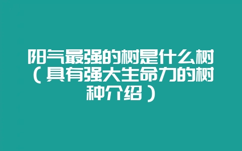 阳气最强的树是什么树(具有强大生命力的树种介绍)-会东网