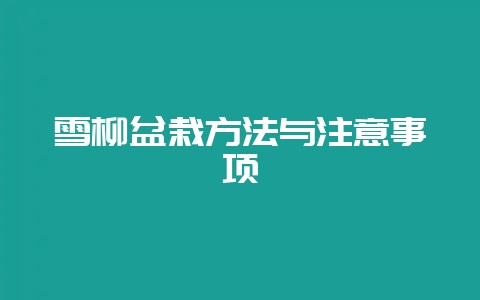 雪柳盆栽方法与注意事项-会东网