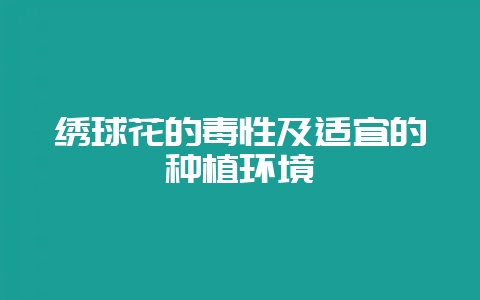 绣球花的毒性及适宜的种植环境-会东网