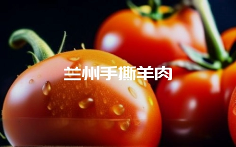 兰州手撕羊肉-会东网