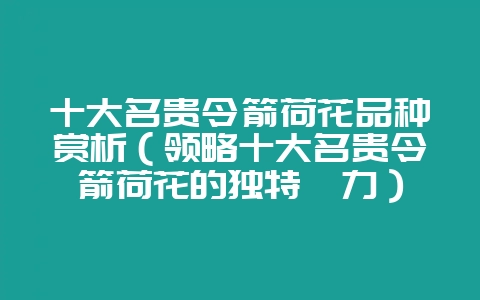 十大名贵令箭荷花品种赏析(领略十大名贵令箭荷花的独特魅力)插图 十大名贵令箭荷花品种赏析(领略十大名贵令箭荷花的独特魅力)插图