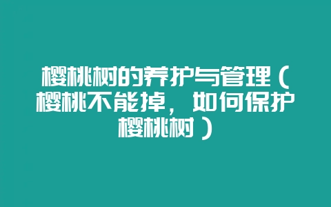 樱桃树的养护与管理（樱桃不能掉，如何保护樱桃树）-会东网