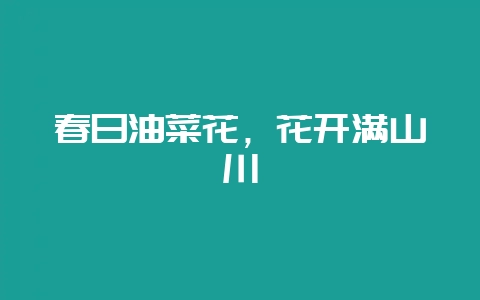 春日油菜花，花开满山川-会东网