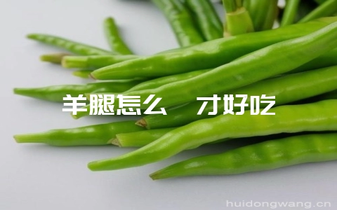 羊腿怎么炖才好吃-会东网